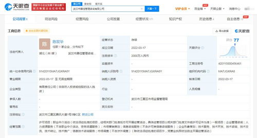 市场信息咨询 洞察趋势脉动，探寻商业智慧